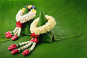 Ý nghĩa của hoa nhài (Jasmine) - Biểu tượng tình yêu vĩnh cửu và mãnh liệt