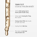 Green Leaf & Cedarwood Perfume Essential Oil - Aroma Oil