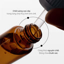 Wild Berries & Amber Fragrance Oil - Aroma Oil