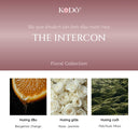 The Intercon Perfume Essential Oil Reed Diffuser Set