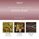 White Rose Perfume Oil Reed Diffuser Set