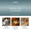 White Tea & Thyme Fragrance Reed Diffuser Set