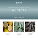 Bộ Que Khuếch Tán Tinh Dầu Nước Hoa KODO White Tea