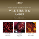 Bộ Que Khuếch Tán Tinh Dầu Nước Hoa KODO Wild Berries And Amber