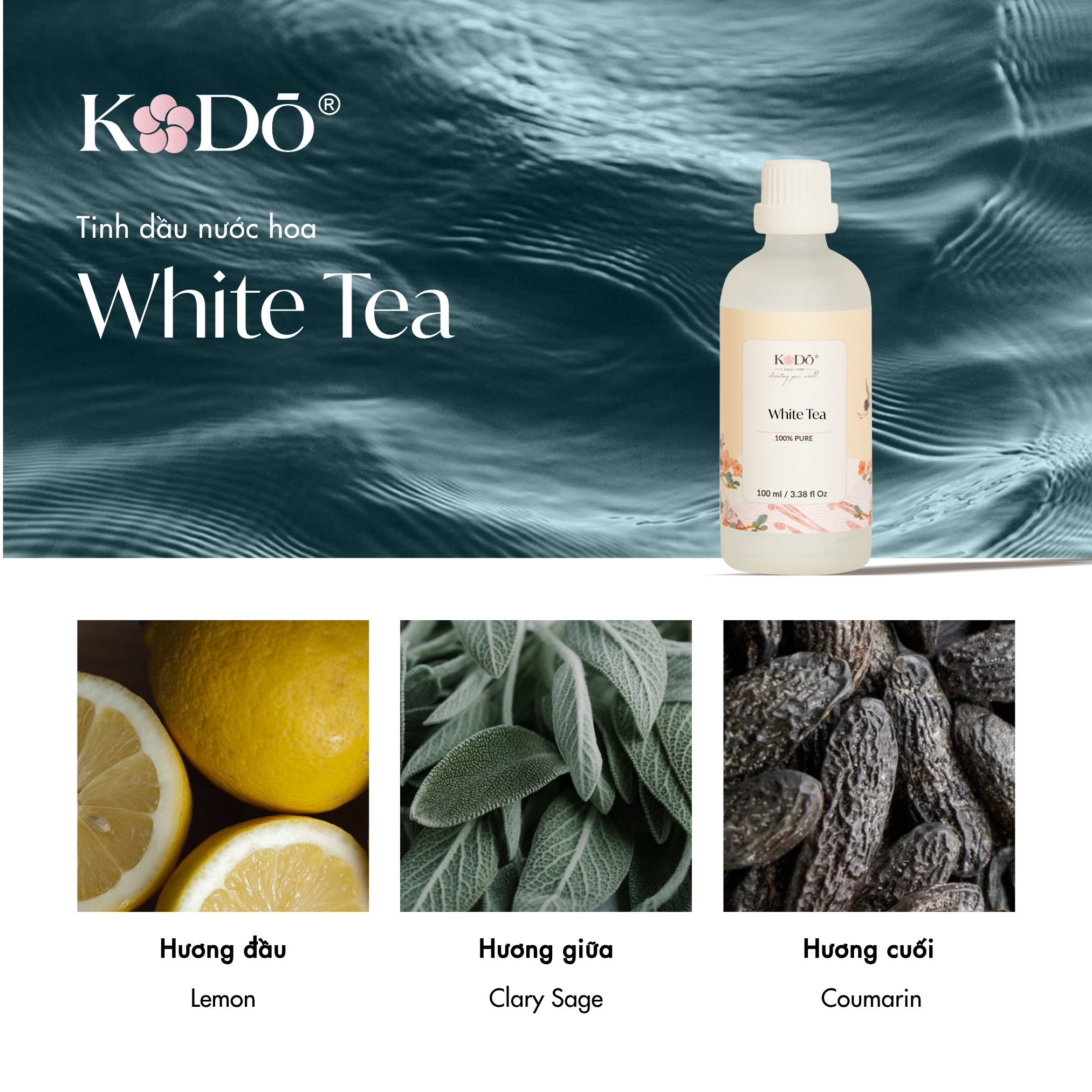 WHITE TEA