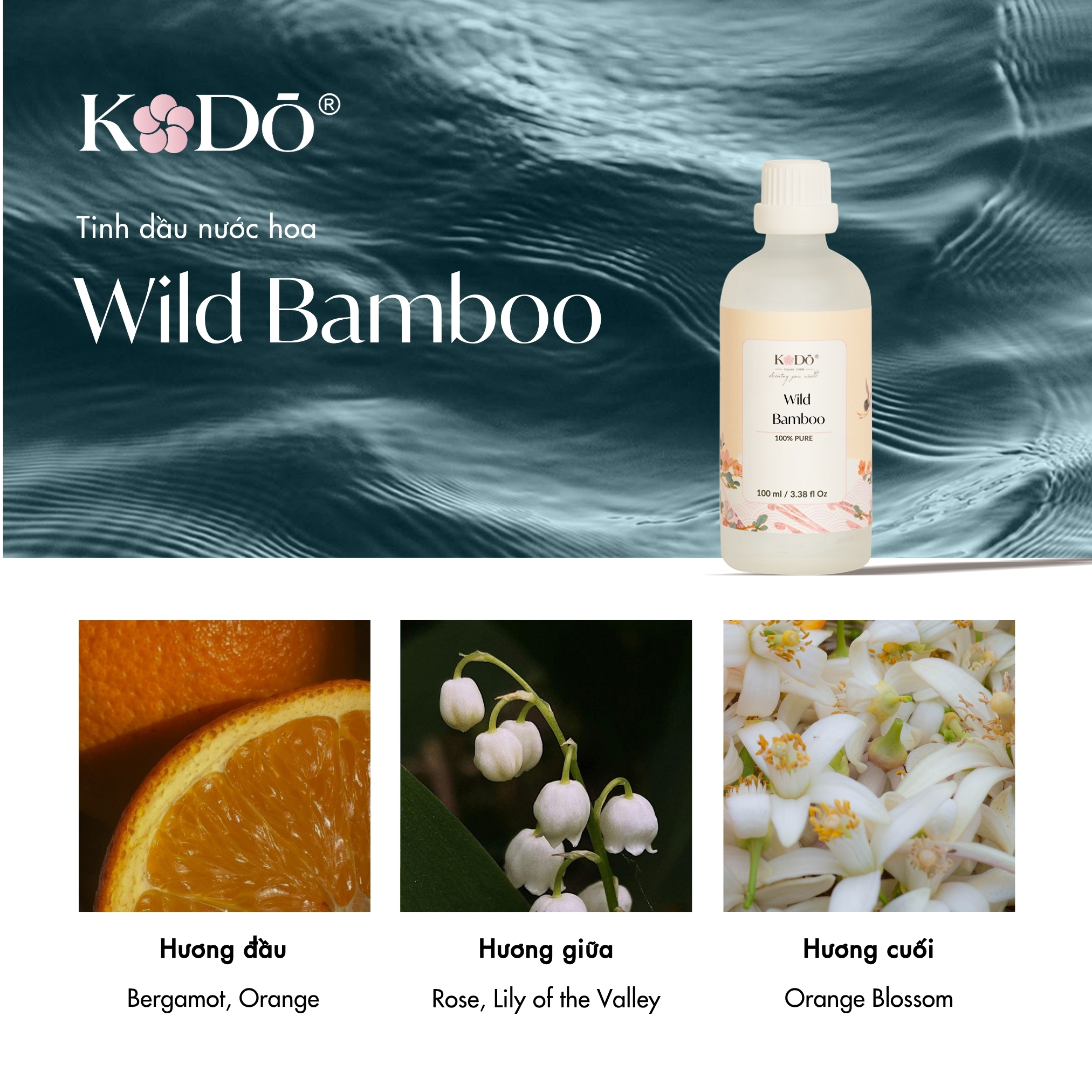 WILD BAMBOO
