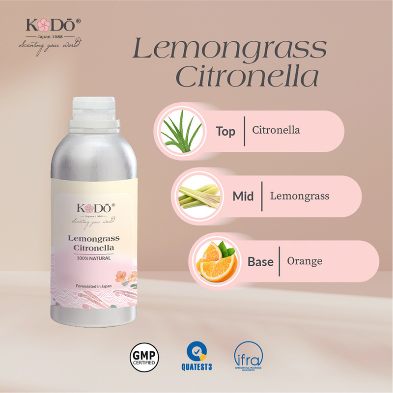 tinh dầu cho văn phòng