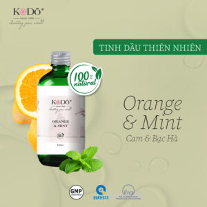 ORANGE & MINT