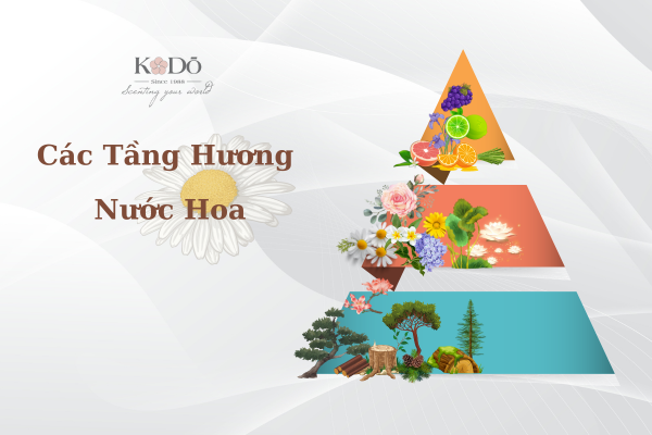 các tầng hương nước hoa