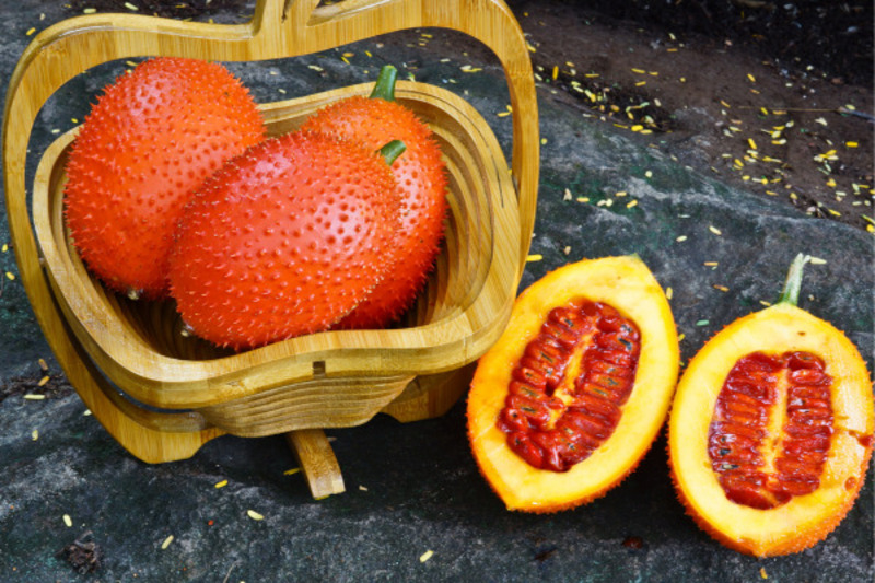 cách làm tinh dầu gấc