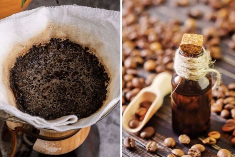 cách làm tinh dầu cà phê