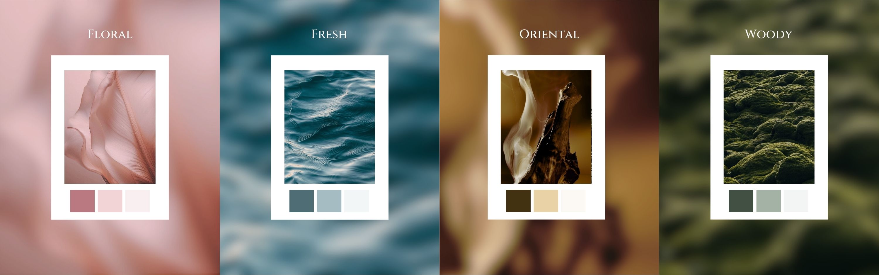 banner website banner website